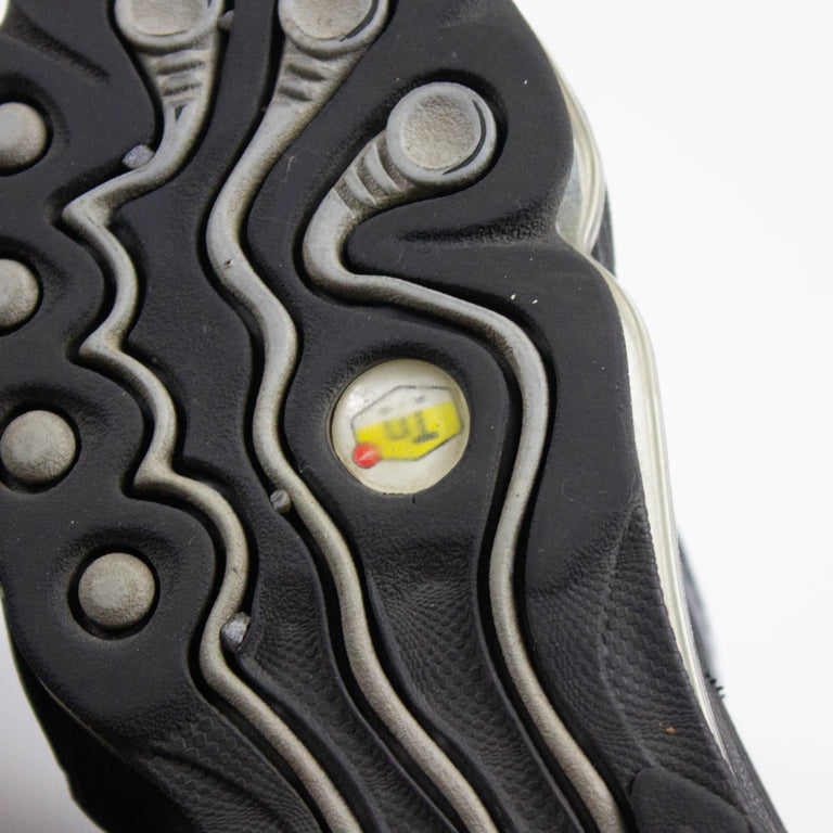 Nike Air Tuned Max (2010s)