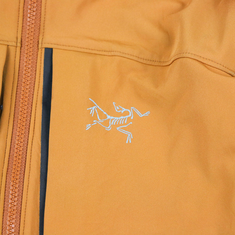 Arc'teryx Gamma MX (2000s)