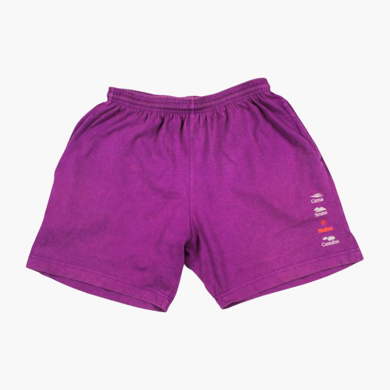Apple Computers Shorts (90s)